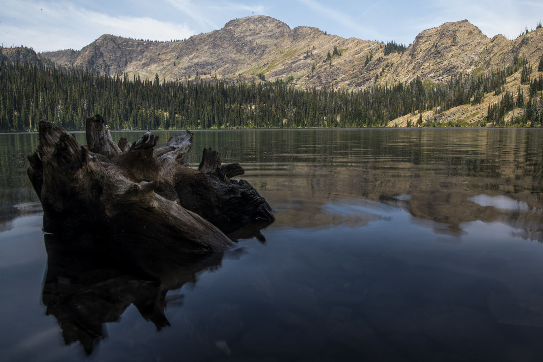 Territory: Rattlesnake Wilderness Area 05